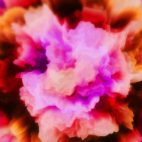 'Carnation' - Blossom-like Motion Background Loop_Sample2