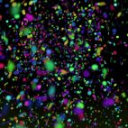 'Confetti 1' - Colorful Falling Motion Background Loop_Sample2
