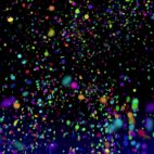 'Confetti 1' - Colorful Falling Motion Background Loop_Sample3