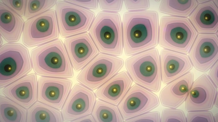 'Freggs' - Abstract Biology Motion Background Loop_SampleStill