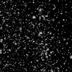 'Glittering Snow / Black Background' - Snow And Christmas Motion Background Loop_Sample3