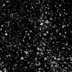 'Glittering Snow / Black Background' - Snow And Christmas Motion Background Loop_SampleStill