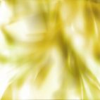 'Goldmush' - Glamorous Texture Motion Background Loop_Sample3