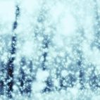 'Magical Snow' - Snow And Christmas Motion Background Loop_Sample3
