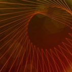 'Martha' - Abstract Golden Lines Motion Background Loop_Sample3