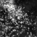 'Snowflakes, Shallow Depth Of Field' - Intense Snow Motion Background Loop_Sample2