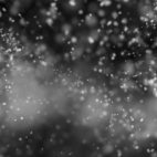 'Snowflakes, Shallow Depth Of Field' - Intense Snow Motion Background Loop_SampleStill