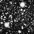 'Snowflakes Approaching - Black Background' - Snow And Christmas Motion Background Loop_SampleStill