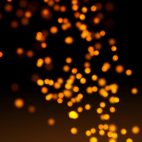 'Sparkatus' - Fireflies Motion Background Loop_Sample3