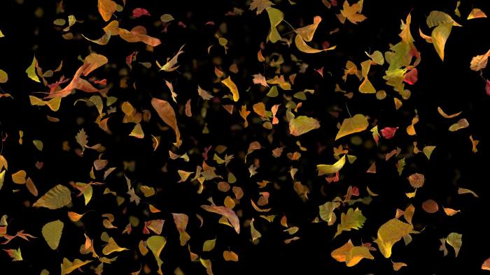 'Autumn Fall Leaves Frontal - Black BG' - Realistic Fallling Foliage Motion Background Loop-SampleStill