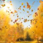 'Autumn Fall Leaves Sideways' - Realistic Falling Leaves Motion Background Loop-Sample2