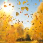 'Autumn Fall Leaves Sideways' - Realistic Falling Leaves Motion Background Loop-Sample3