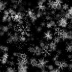 'Pretty Snow 4' - Black BG Winter Motion Background Loop-Sample2