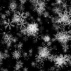 'Pretty Snow 4' - Black BG Winter Motion Background Loop-Sample3