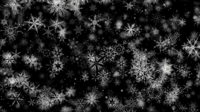 'Pretty Snow 4' - Black BG Winter Motion Background Loop-SampleStill
