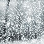 'Magical Snow Gray' - Atmospheric Poetic Winter Motion Background Loop-Sample3